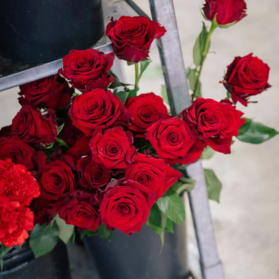 Las Rosas - Selección de rosas de colores - Image 3