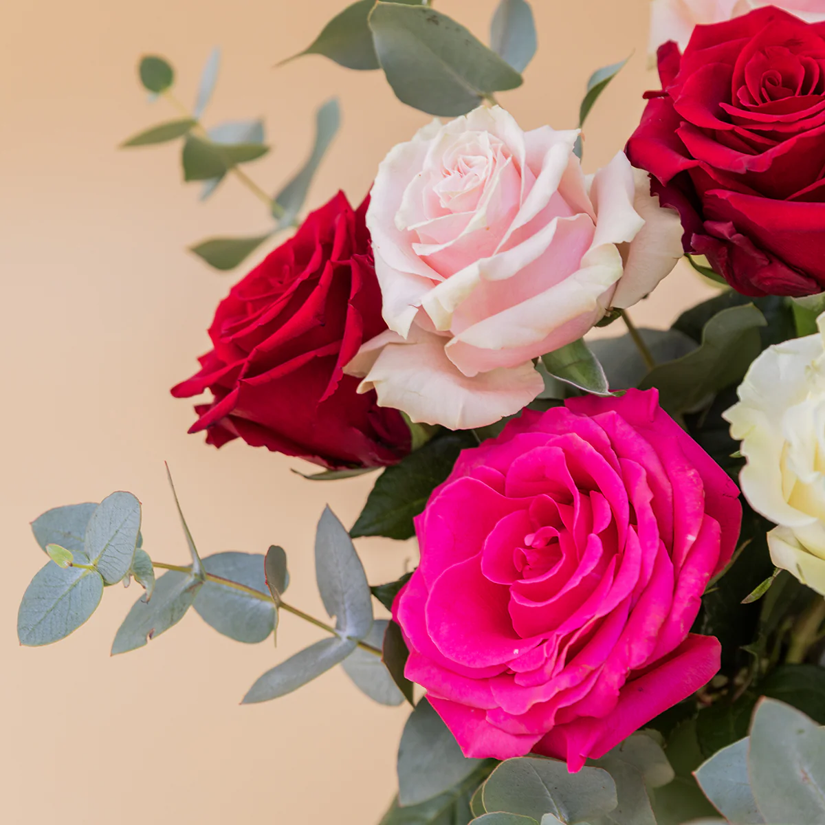 Las Rosas - Selección de rosas de colores - Image 6